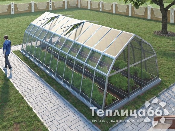 Теплица Рада Дунай под стекло, 3,5х8 метров