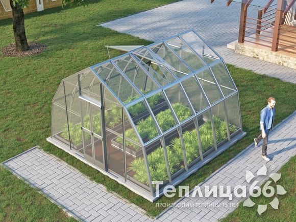 Теплица Рада Енисей под стекло, 4х4 метра