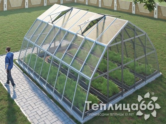 Теплица Рада Амазонка под стекло, 5х6 метров