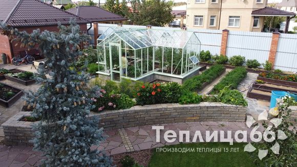Теплица Ботаник в необычном цвете!