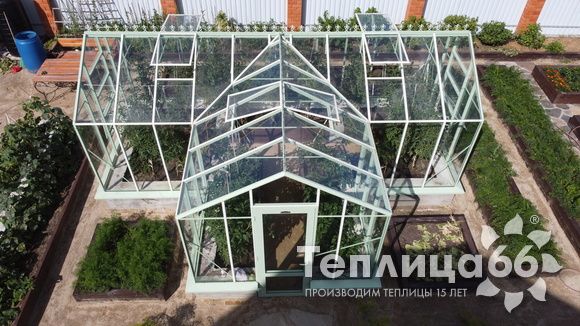Теплица Ботаник в необычном цвете!
