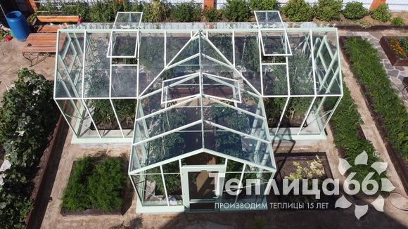 Теплица Ботаник в необычном цвете!