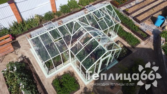 Теплица Ботаник в необычном цвете!
