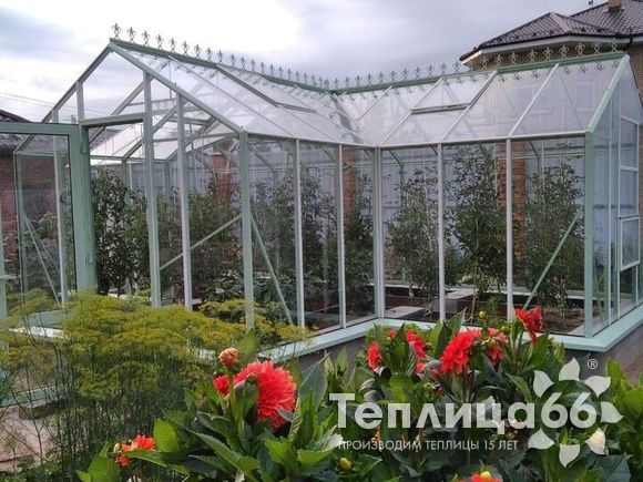 Теплица Ботаник в необычном цвете!