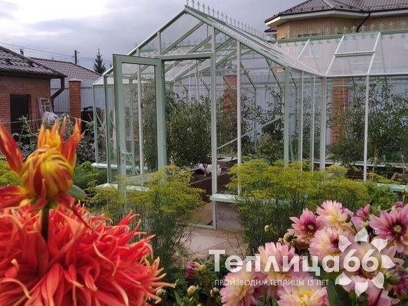 Теплица Ботаник в необычном цвете!