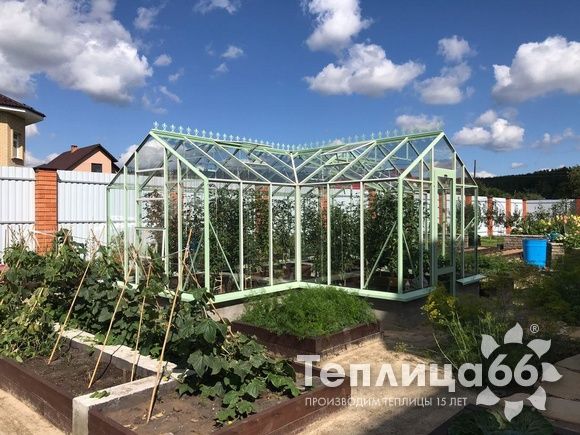 Теплица Ботаник в необычном цвете!