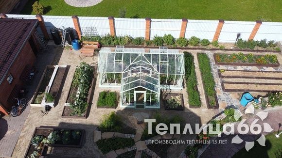 Теплица Ботаник в необычном цвете!