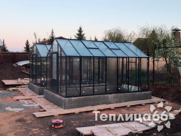 2 близнеца botanik